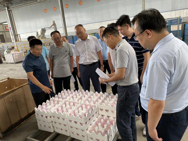 1598021195222514.png 全网担保网_公司4670